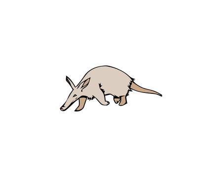 Illustration of anteater isolated on white background
