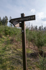 Walderlebnispfad Hinweisschild im Wald