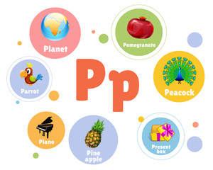 vector illustration colored set objects with P letter