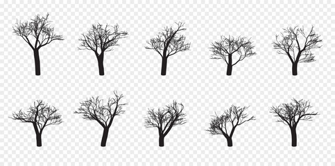 Naked Trees Silhouettes Set. Hand Drawn Isolated. Autumn. Spring. Fall. Vector