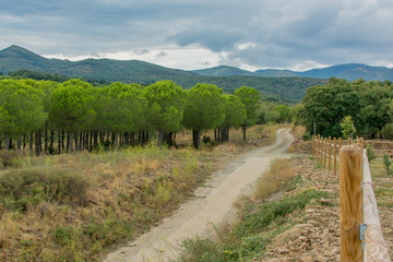 Fototapeta na wymiar Rural way in a mountain landscape