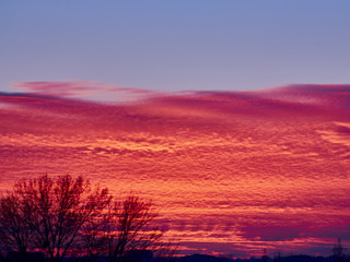 Sunset with red stratus clouds and blue sky