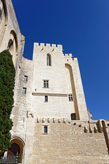 Palais des Papes