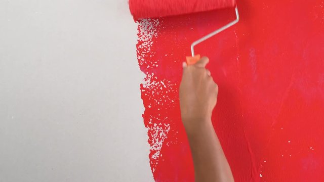 footage paints a wall with a roller to apply red paint in home