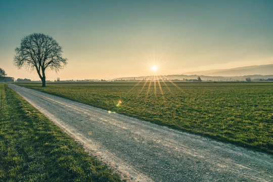 Feld in Lyss bei Sonnenuntergang_2