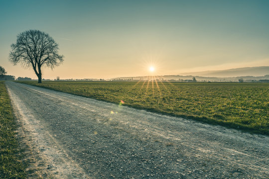 Feld in Lyss bei Sonnenuntergang_1