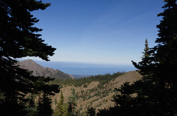 Hurricane Ridge