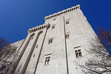 Palais des Papes Avignon