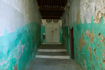 colored morroco streed