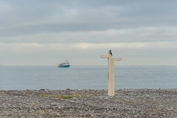 The bird is sitting on a pole against the background of the sea and the ship