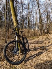 Fototapeta premium MTB bicycle on the trail in the spring season