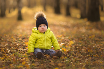 Baby 10 months among fallen leaves, autumn park