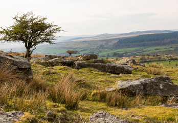 Fototapeta na wymiar View on Dartmoor