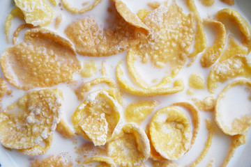 Cornflakes in milk close up.  Morning healthy food.