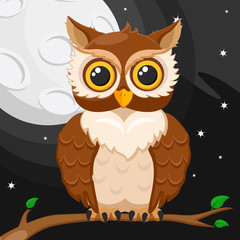 Owl sitting on a branch against the moon and the night sky.