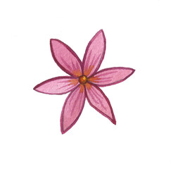 Hand drawn brunch flower summer spring illustration 