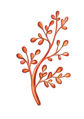 Obraz na płótnie Canvas Hand drawn brunch flower summer spring illustration 
