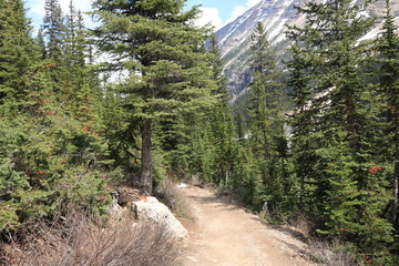 Lake Louise