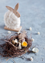 Quail Easter eggs on grey background with willow branch