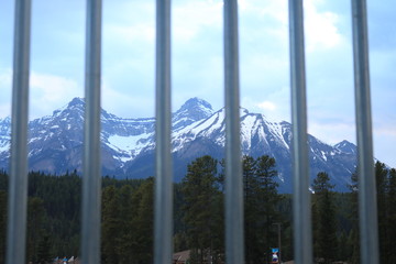 Lake Louise