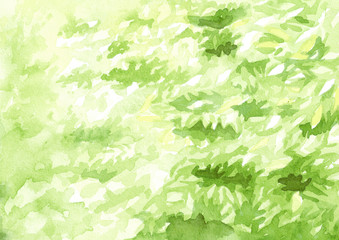 Green leaves natural background. Watercolor hand drawn illustration