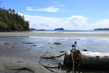 Fototapeta na wymiar Vancouver Island