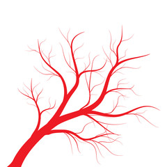 Human veins, red blood vessels design on white backgroun. Vector illustration