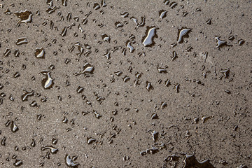 New asphalt wet. Large drops. Textures