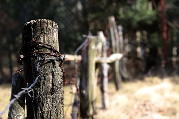 old fence, barbed wire, Poland