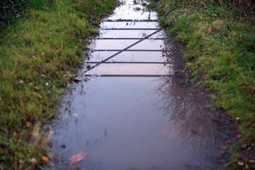 Fototapeta na wymiar Flooded path