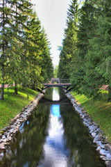 Fototapeta premium Water channel flanked by trees