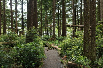 Fototapeta premium Vancouver Island