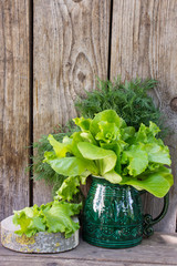 lettuce leaves and dill in a ceramic cup on the background of old boards. The concept of healthy eating. Copy space.