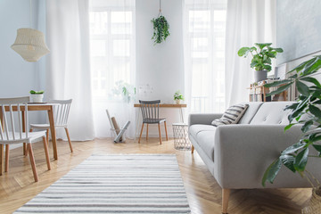 Modern scandinavian living room with design furniture, grey sofa, plants, bamboo bookstand and...