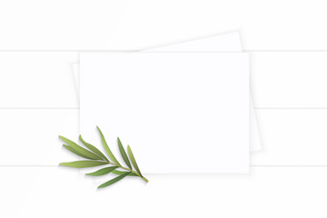 Flat lay top view elegant white composition paper tarragon leaf on wooden background