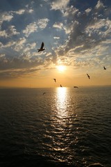 Sunset horizon sea water landscape. Sunset sea horizon panorama. Orange sunset sea horizon view at sunset 