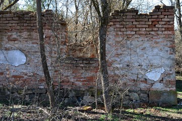 the remains of the old house