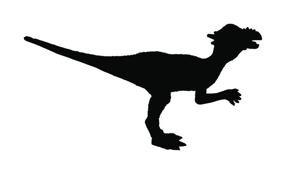 Kind of dinosaur vector silhouette isolated on white background. Dinosaurs symbol. Jurassic era. Dino sign.