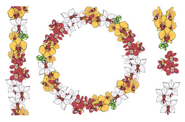 Orchid flowers, seamless brush, wreath and individual flowers, vector illustration