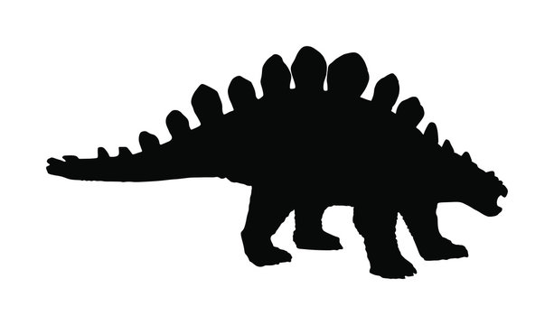 VectVector silhouette of a stegosaurus dinosaurs.or silhouette of a stegosaurus dinosaurs.