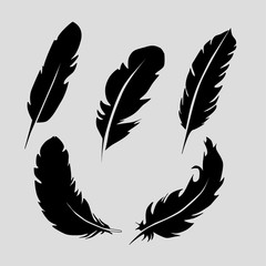 set of five black feathers on grey background