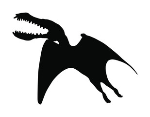 Cearadactylus vector silhouette isolated on white background. Dinosaurs bird symbol. Jurassic era. Dino sign.