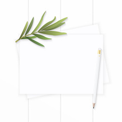Flat lay top view elegant white composition paper tarragon leaf and pencil on wooden background