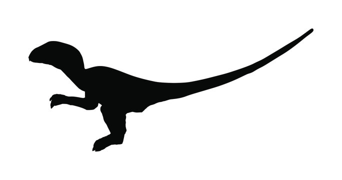 Velociraptor vector silhouette isolated on white background. Dinosaurs symbol. Jurassic era. Dino sign.