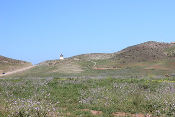 campo florido