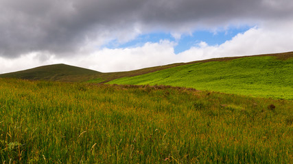 Fototapeta premium Green summer scenery in Wicklow Mountains, Ireland, with scenic rolling hills and tall grass under a moody and beautiful cloudy sky.
