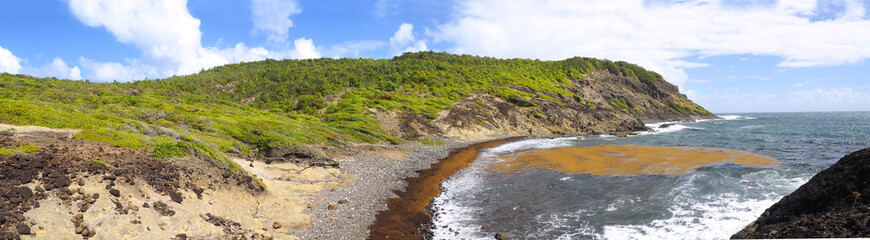 Fototapeta na wymiar panoramic view of the Pointe de la Batterie, peninsula of Caravelle, Martinique. FWI
