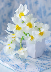 Lovely bunch of flowers .Close-up floral composition with a tulips .Beautiful whites fresh tulips in a ceramic vase.