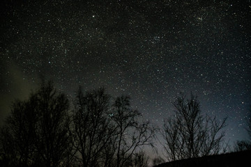 starry sky north