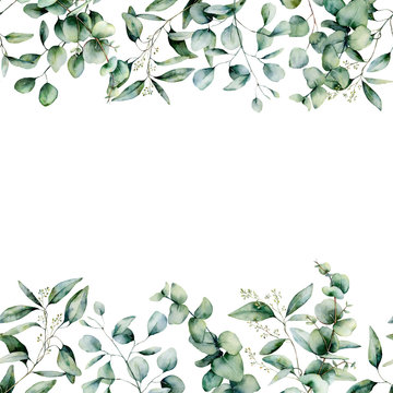 Watercolor different eucalyptus seamless border. Hand painted eucalyptus branch and leaves isolated on white background. Floral illustration for design, print, fabric or background. © yuliya_derbisheva